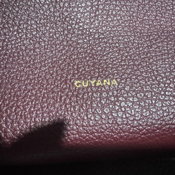 Cuyana Mini Easy Zipper Bag - Deep Cherry - Picture 5 of 8